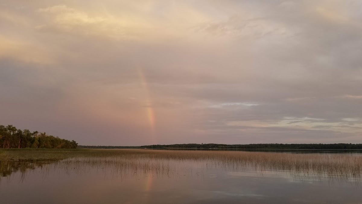 Loon's Landing photo 2