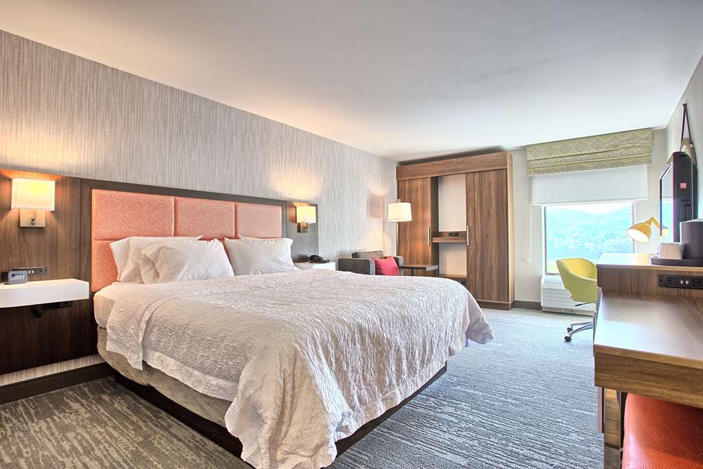 Hampton Inn Williamsport-Downtown photo 2