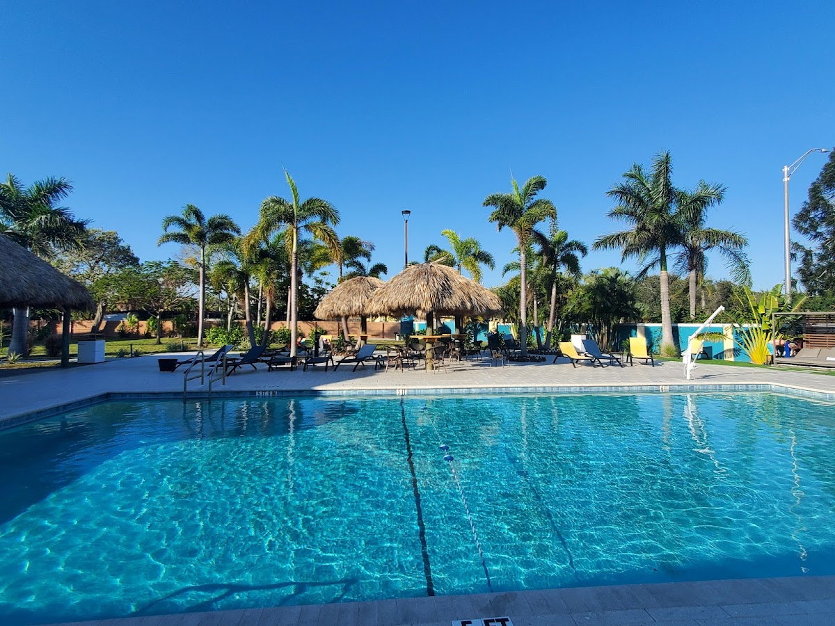 Golden Host Resort Sarasota photo 3