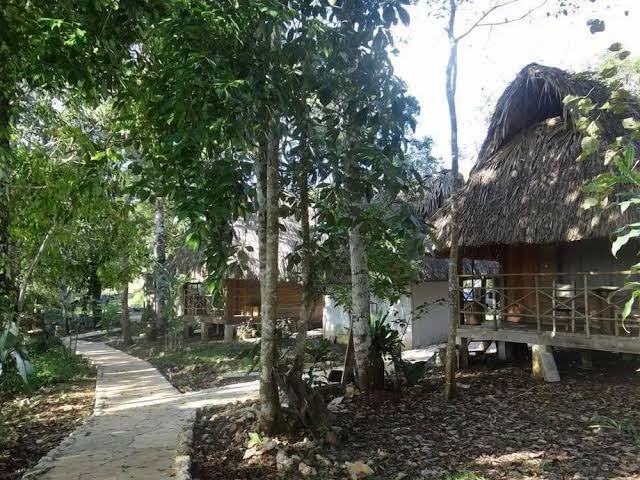 Tres Lagunas, Selva Lacandona