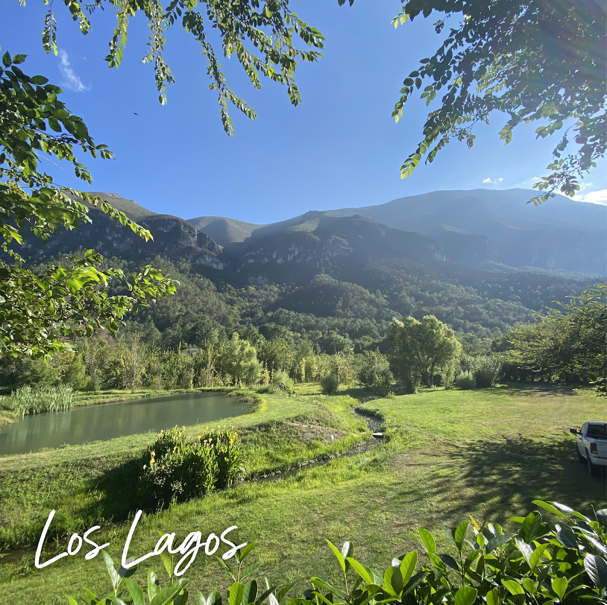 Los Lagos photo 2