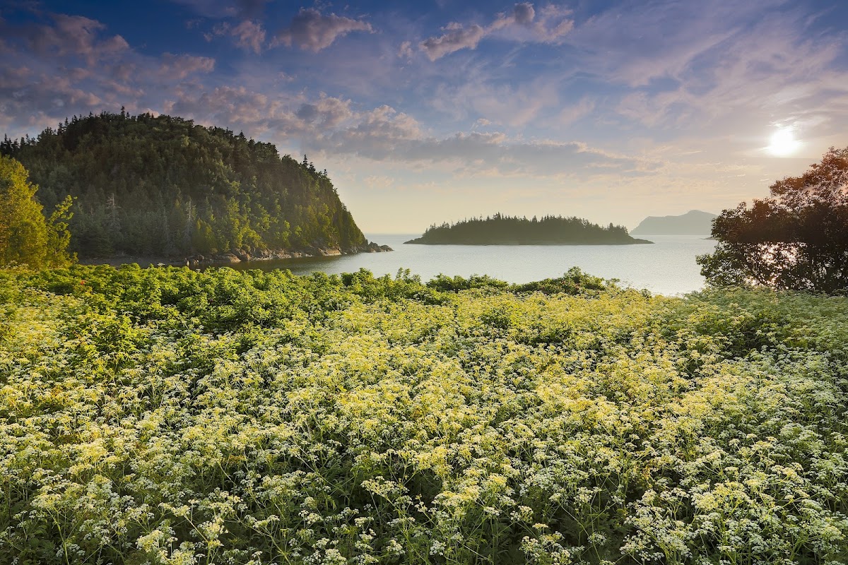 Parc national du Bic