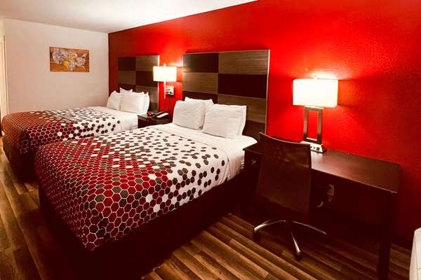Econo Lodge Inn & Suites Downtown San Antonio photo 2