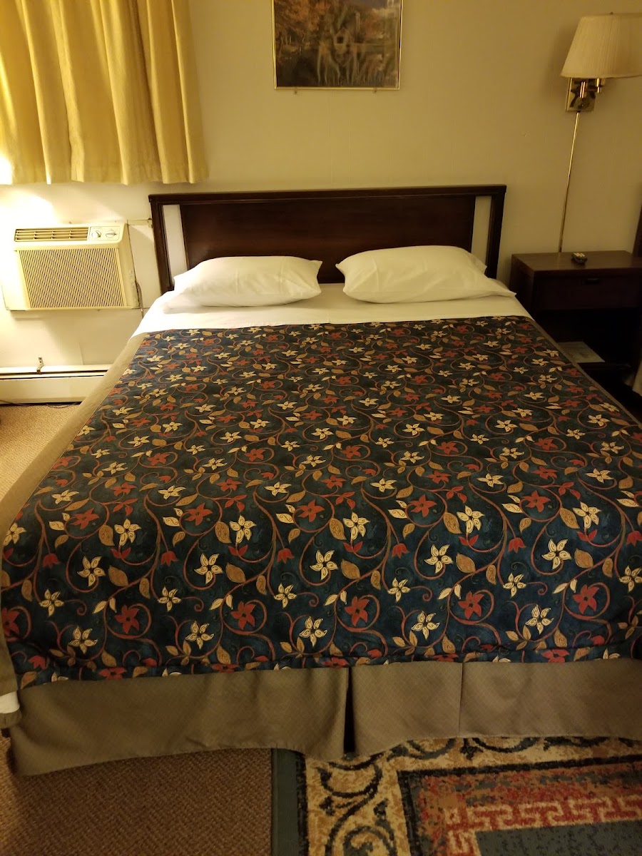 Mt Morris Motel photo 2