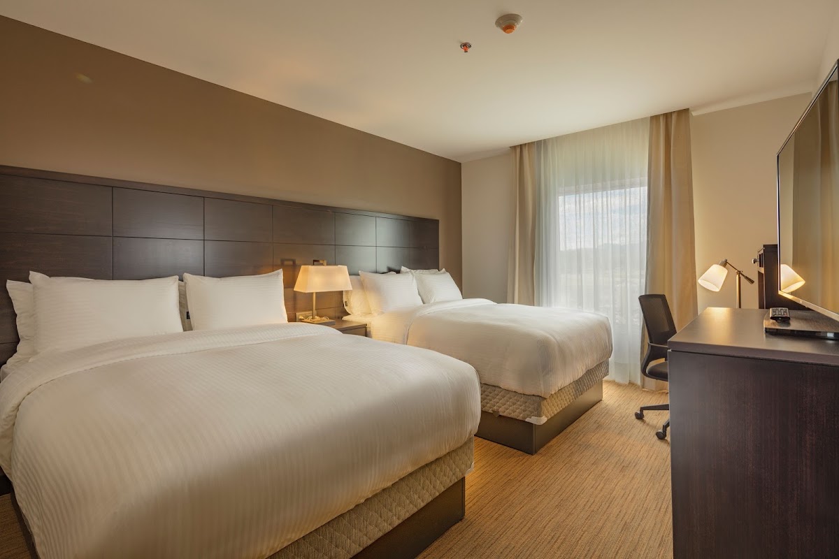 Staybridge Suites Saltillo by IHG photo 2