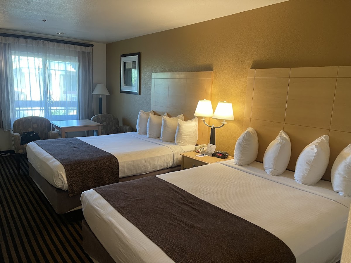 Best Western Palm Court Inn photo 2