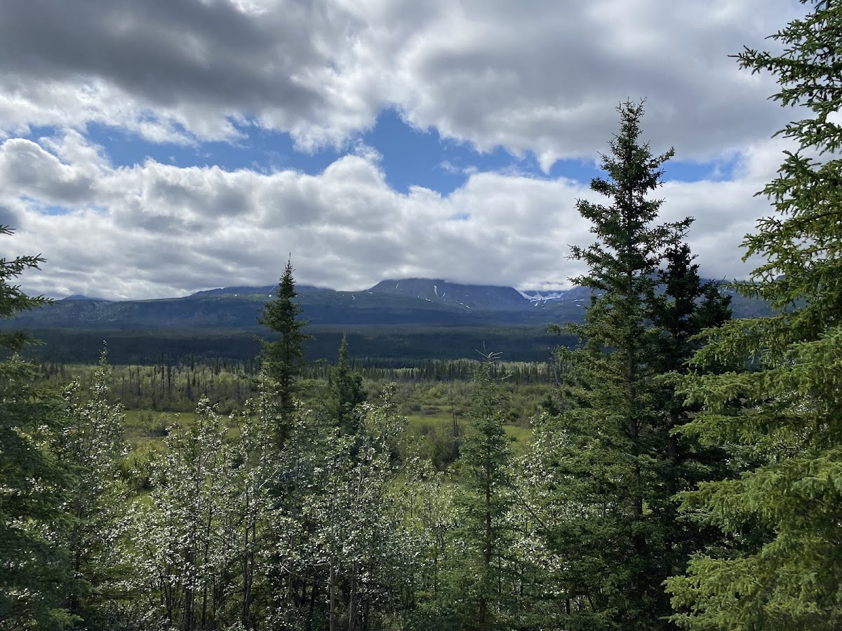 Dezadeash River Trail