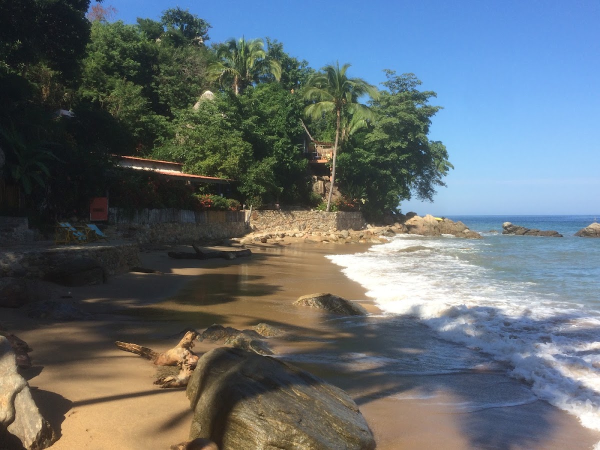 El Jardin Yelapa photo 2
