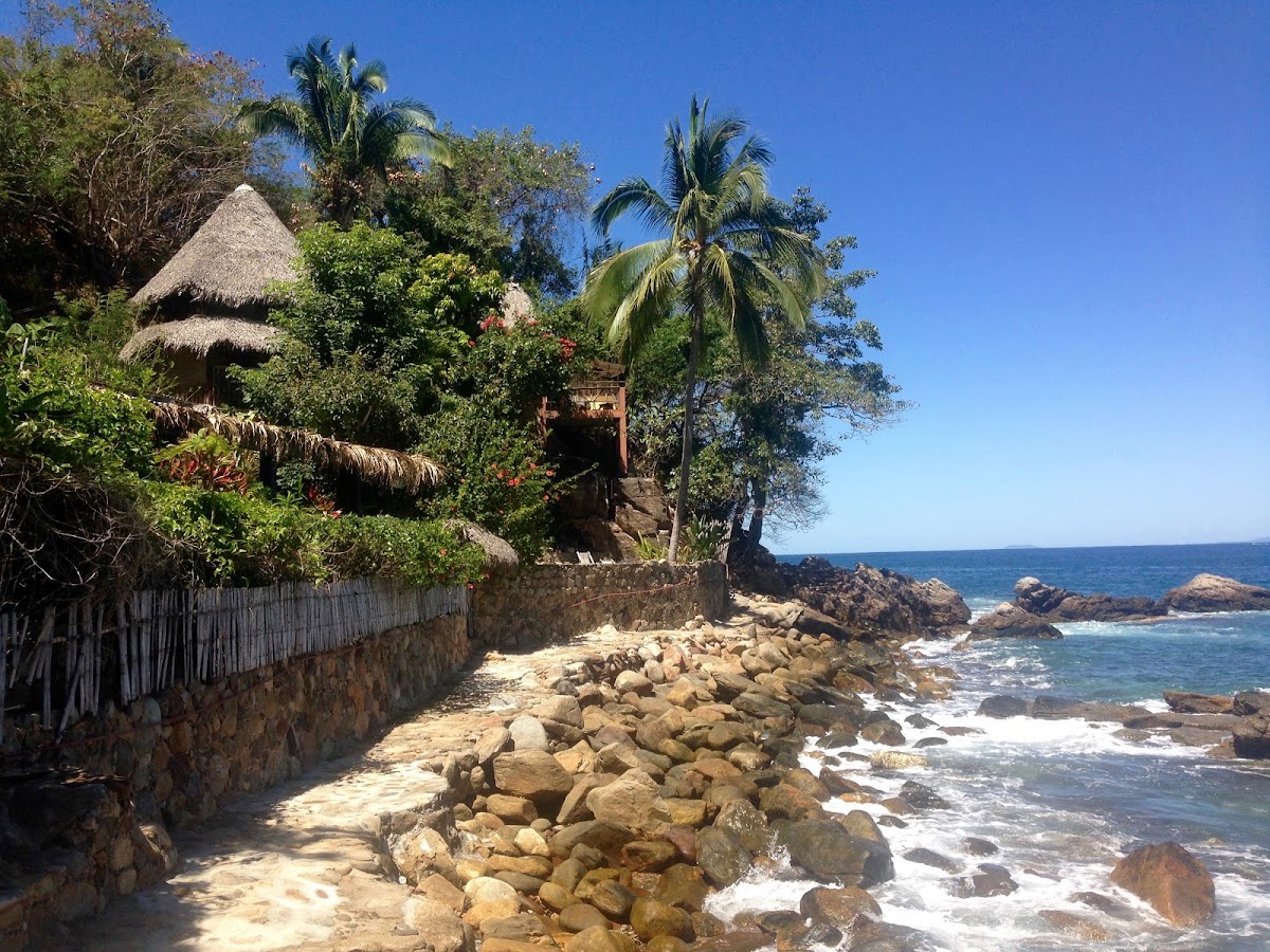 El Jardin Yelapa photo 3
