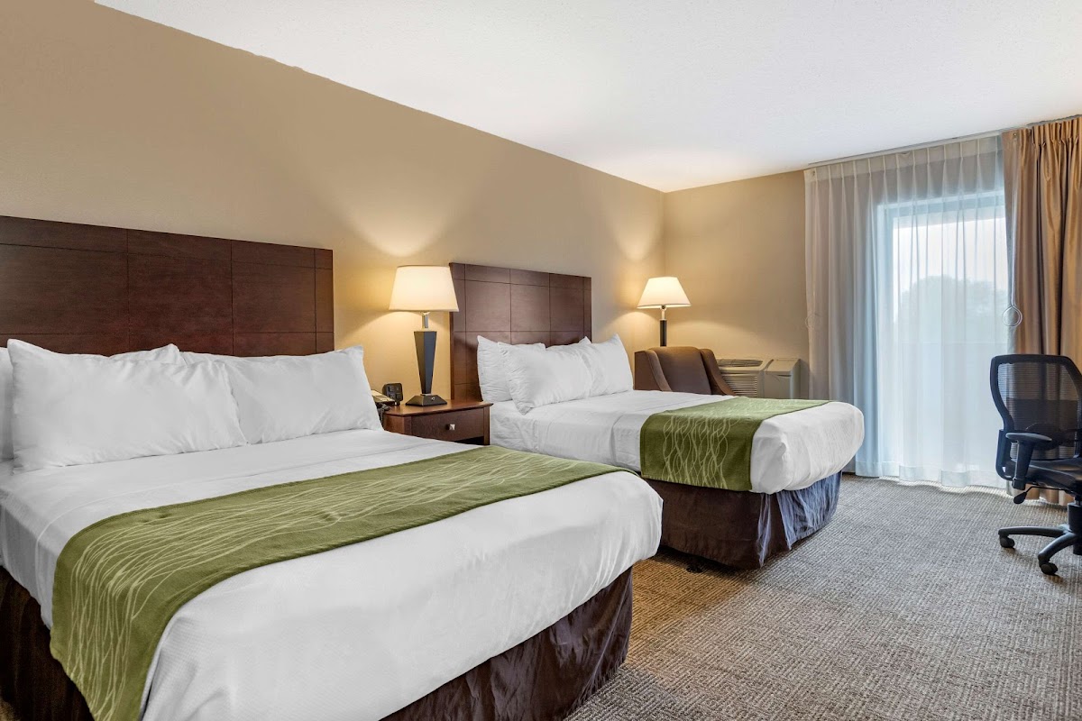 Comfort Inn Lansing West photo 2