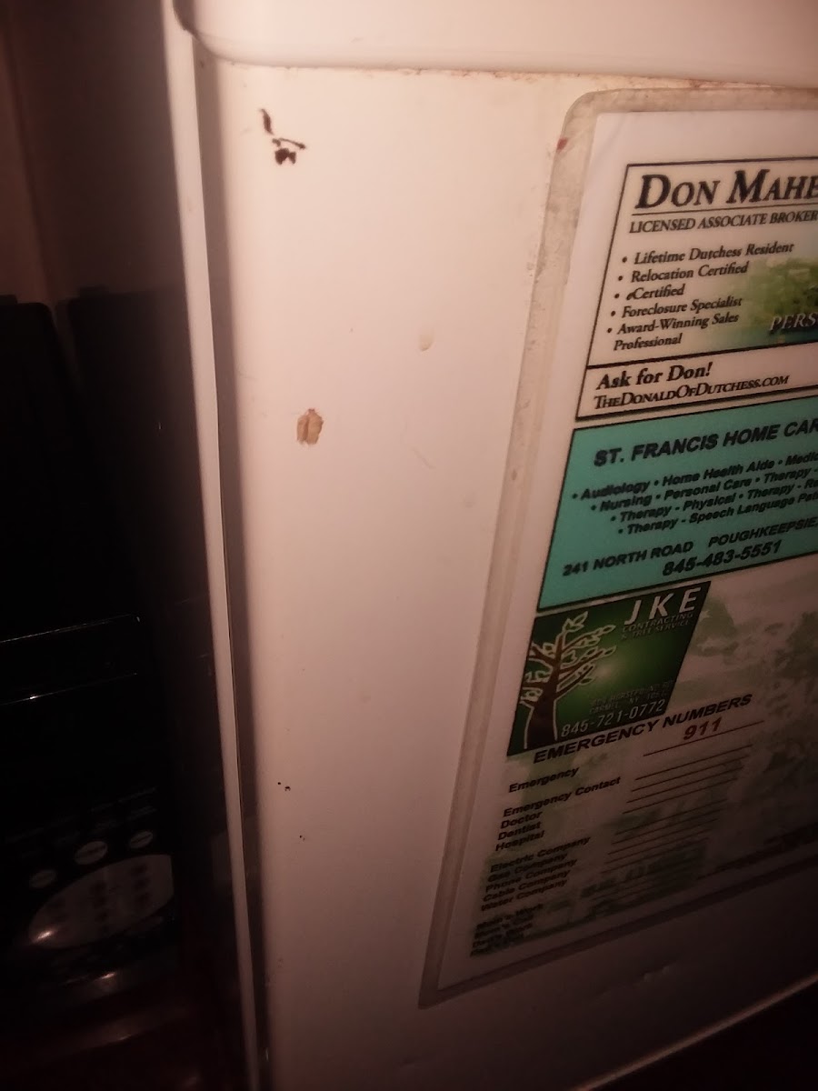 Vanderbilt Motel photo 3