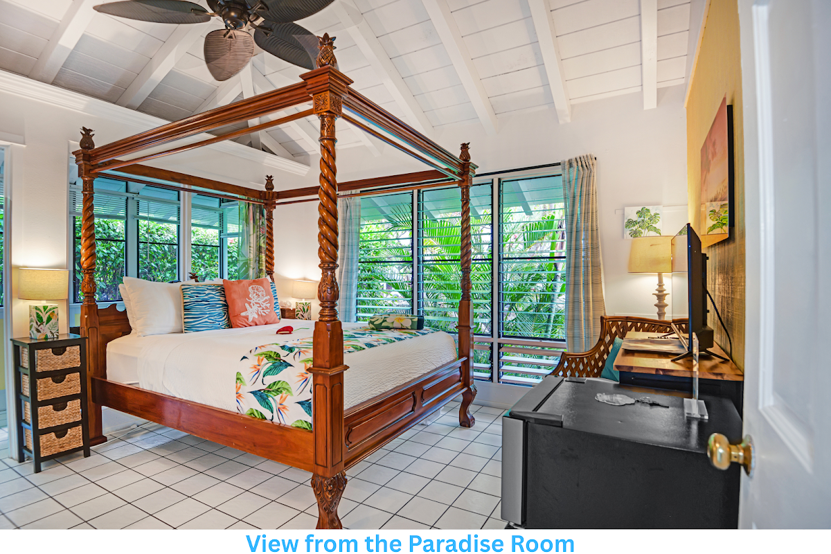 Big Island Retreat photo 2