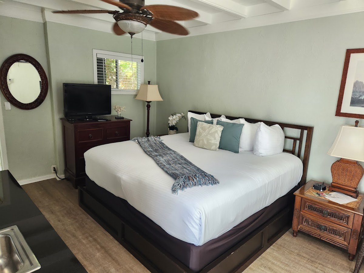 Coconut Palm Inn photo 2