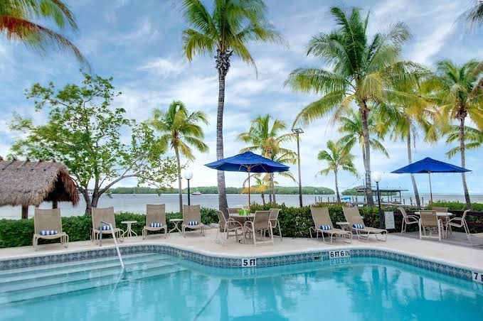 Coconut Palm Inn photo 3
