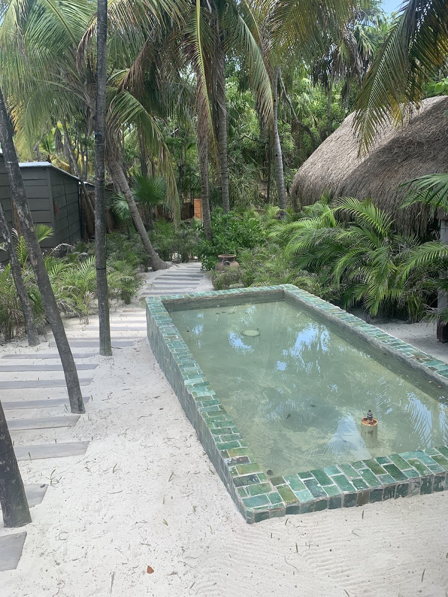 Casa Phoenix Tulum photo 3