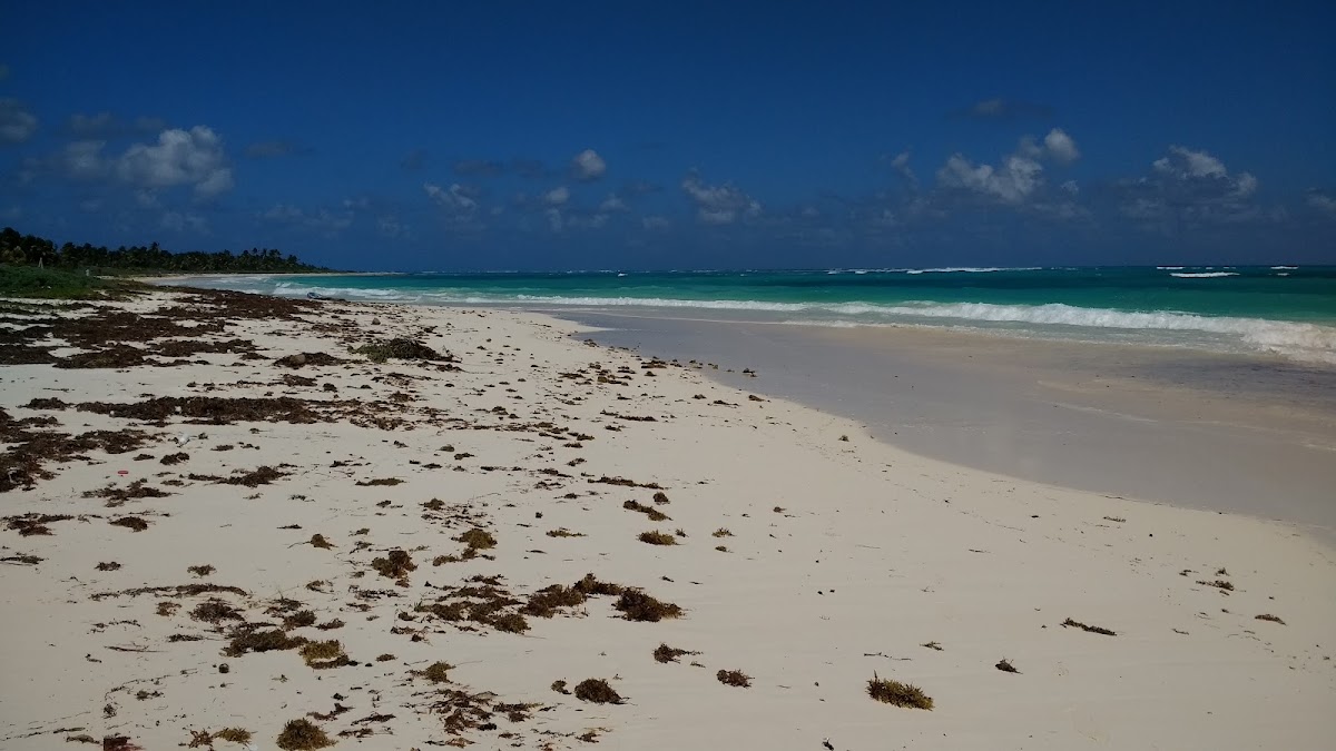 Buena Onda photo 3