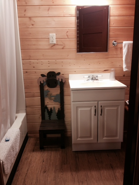 Big Moose Resort photo 3