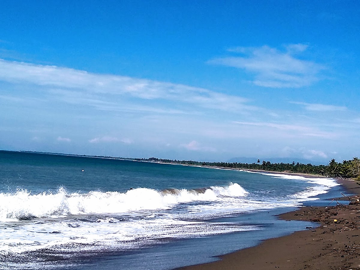 Playa de San Telmo