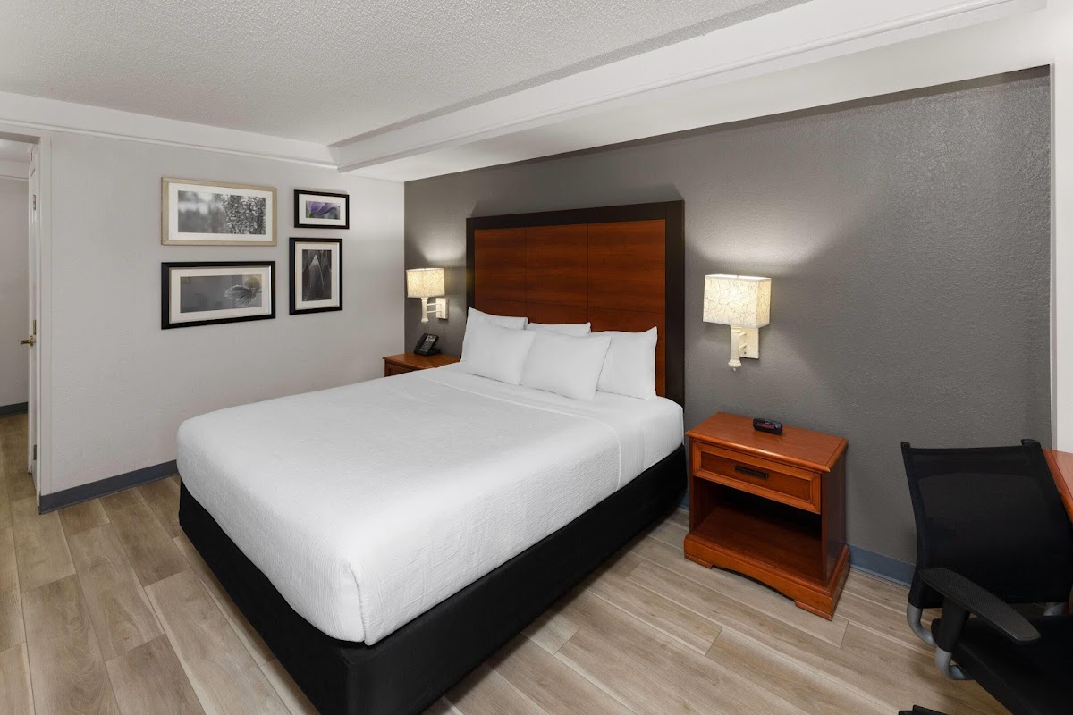 La Quinta Inn & Suites by Wyndham San Antonio Airport photo 2