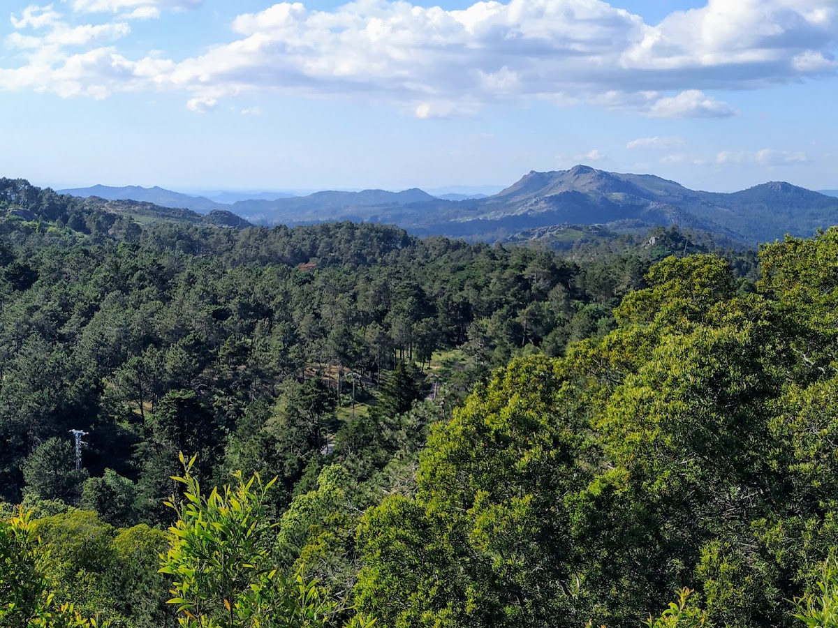 Monte Aloia