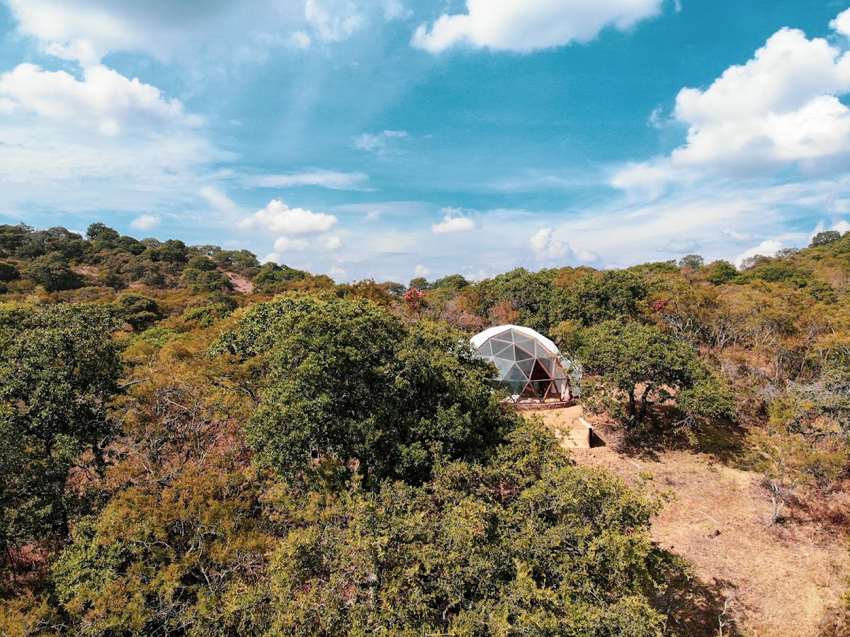 ALUNA SKY DOME photo 2