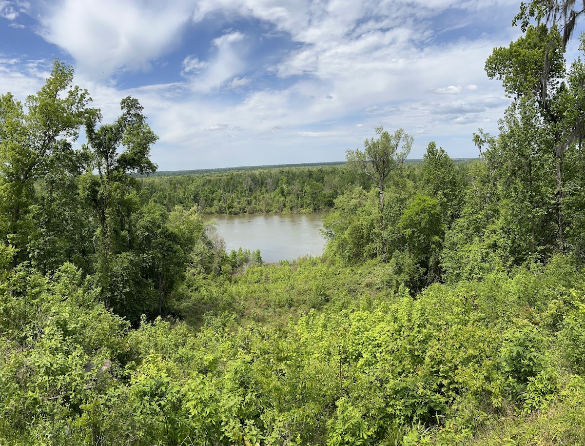 Torreya State Park