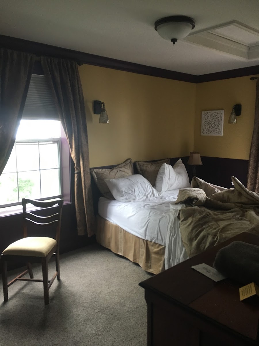 The Globe Hotel photo 2