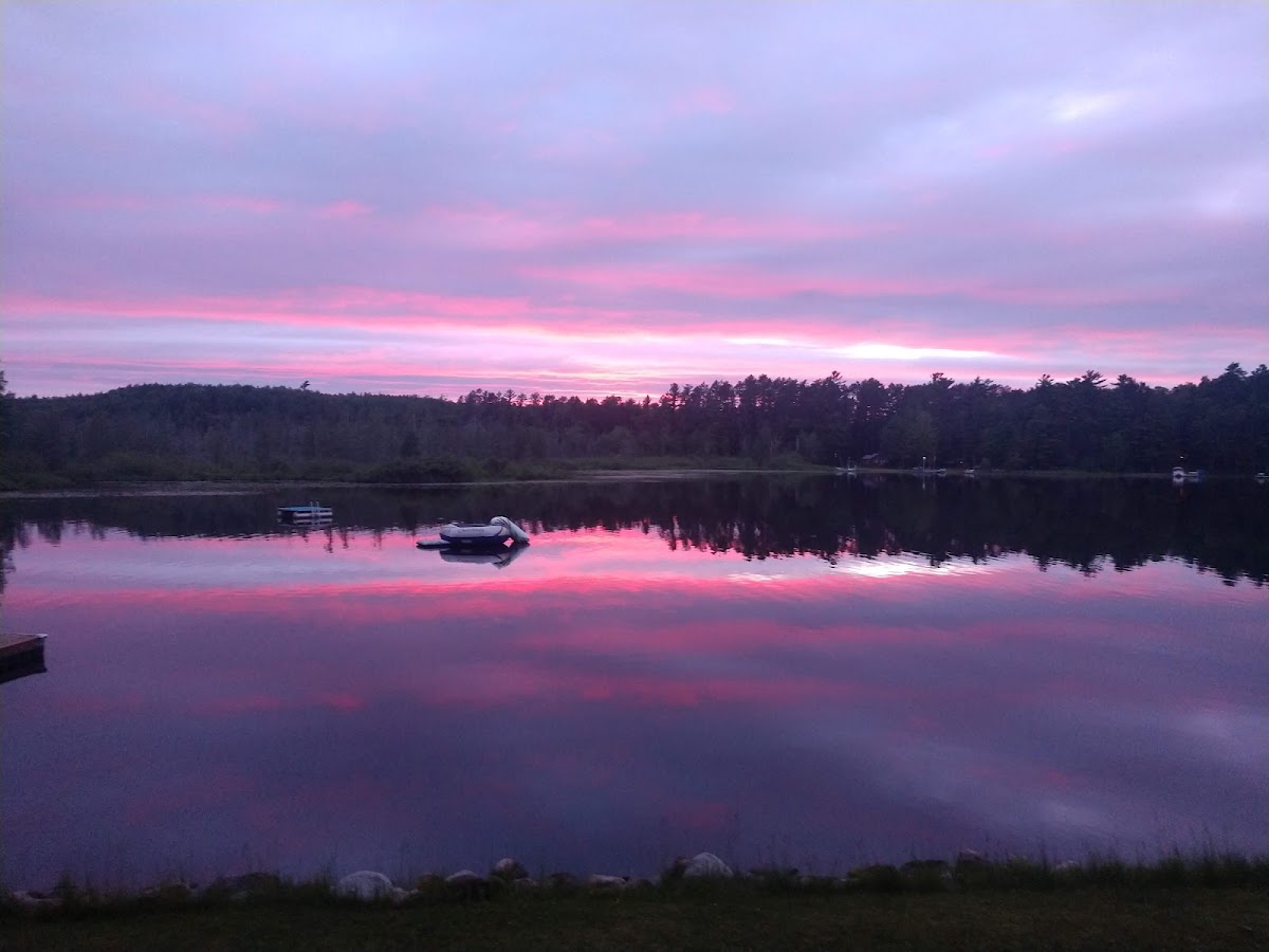 Driftwood Lodge photo 2