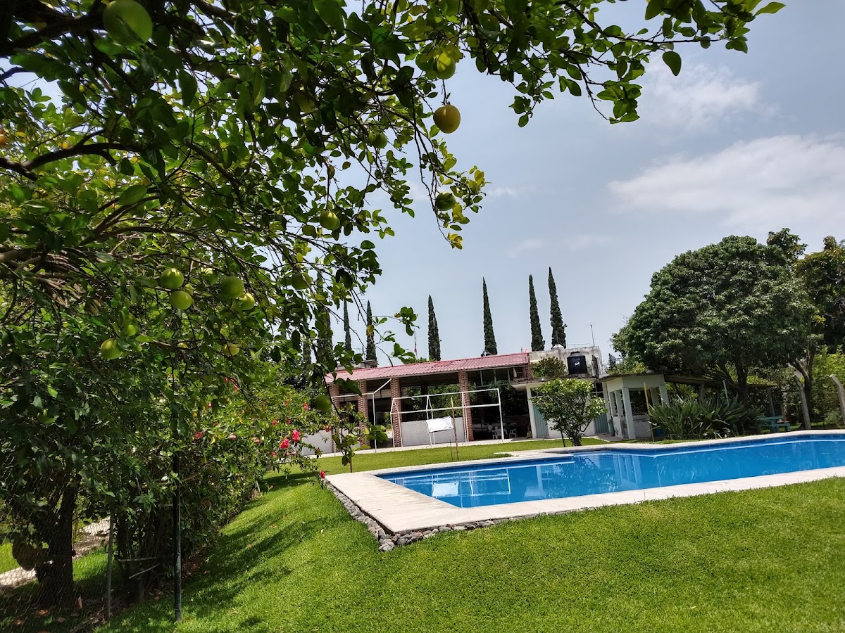 Los Pinos photo 3