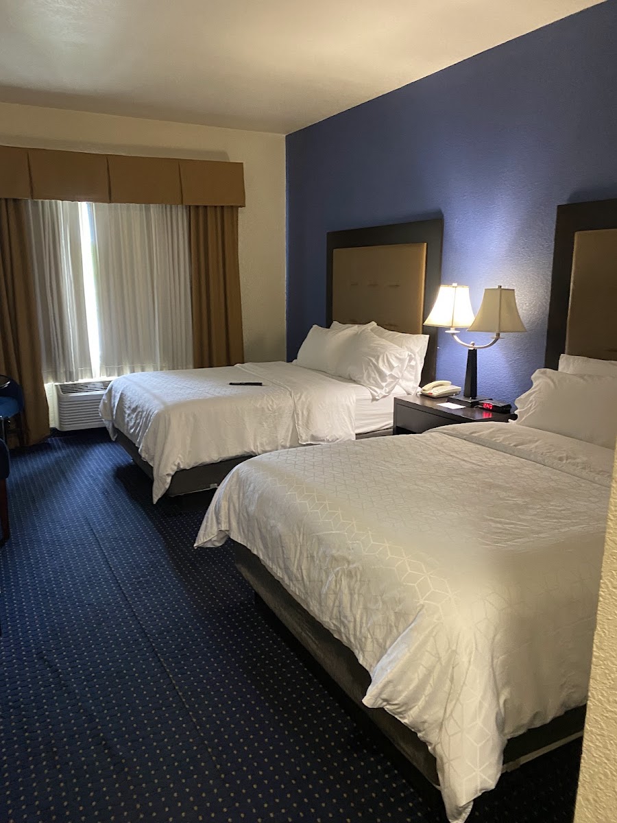 Holiday Inn Express & Suites New Buffalo, MI photo 2