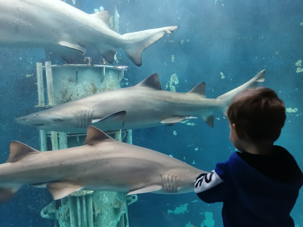 Grand Aquarium Saint Malo