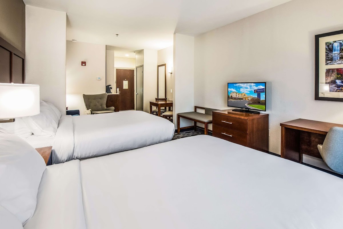 Comfort Inn & Suites Brevard North photo 2