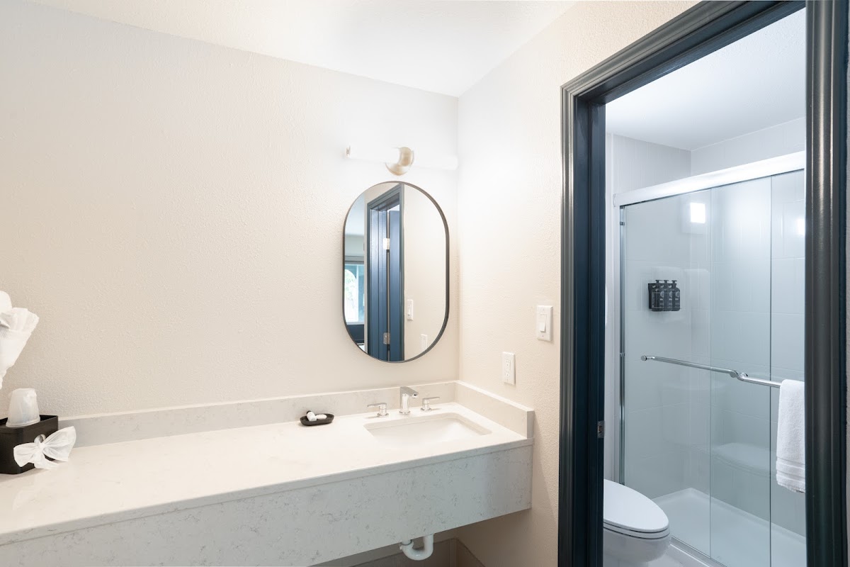 Hotel Sylva photo 3