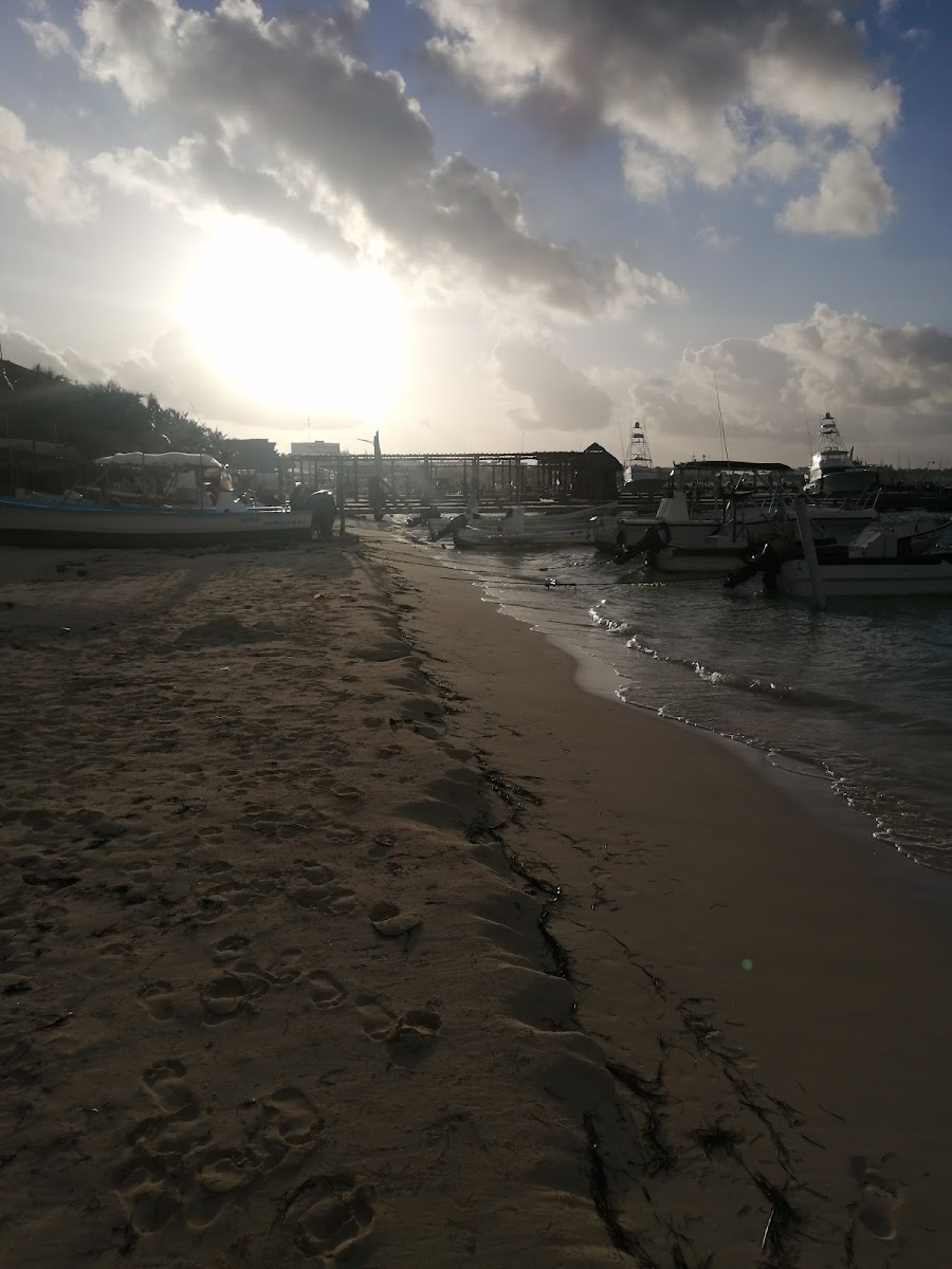 Posada Suemi photo 2
