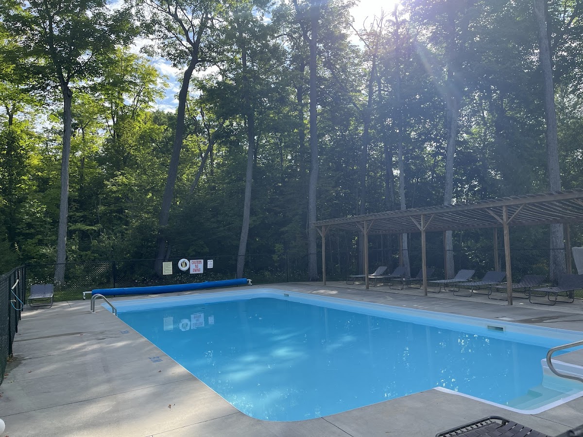 Blue Pigeon Resort photo 3