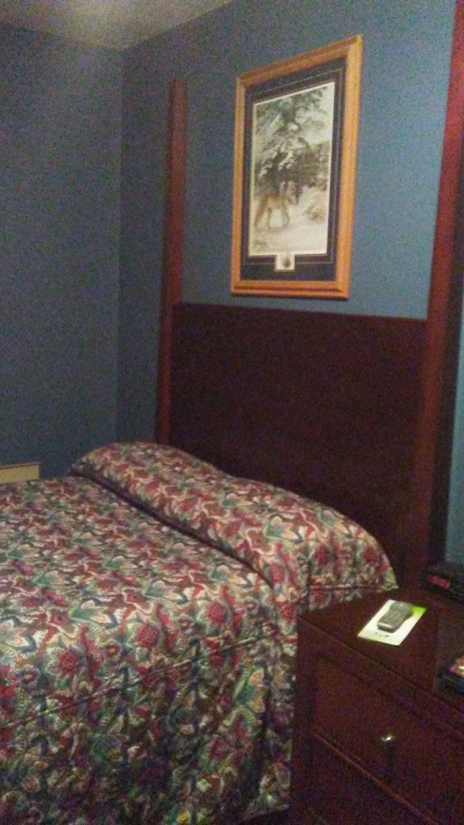 Room 5