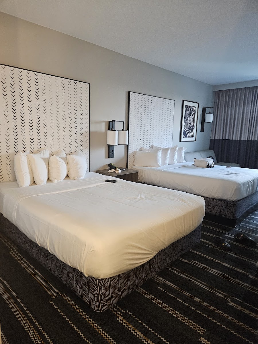 Kalahari Resorts and Conventions photo 2