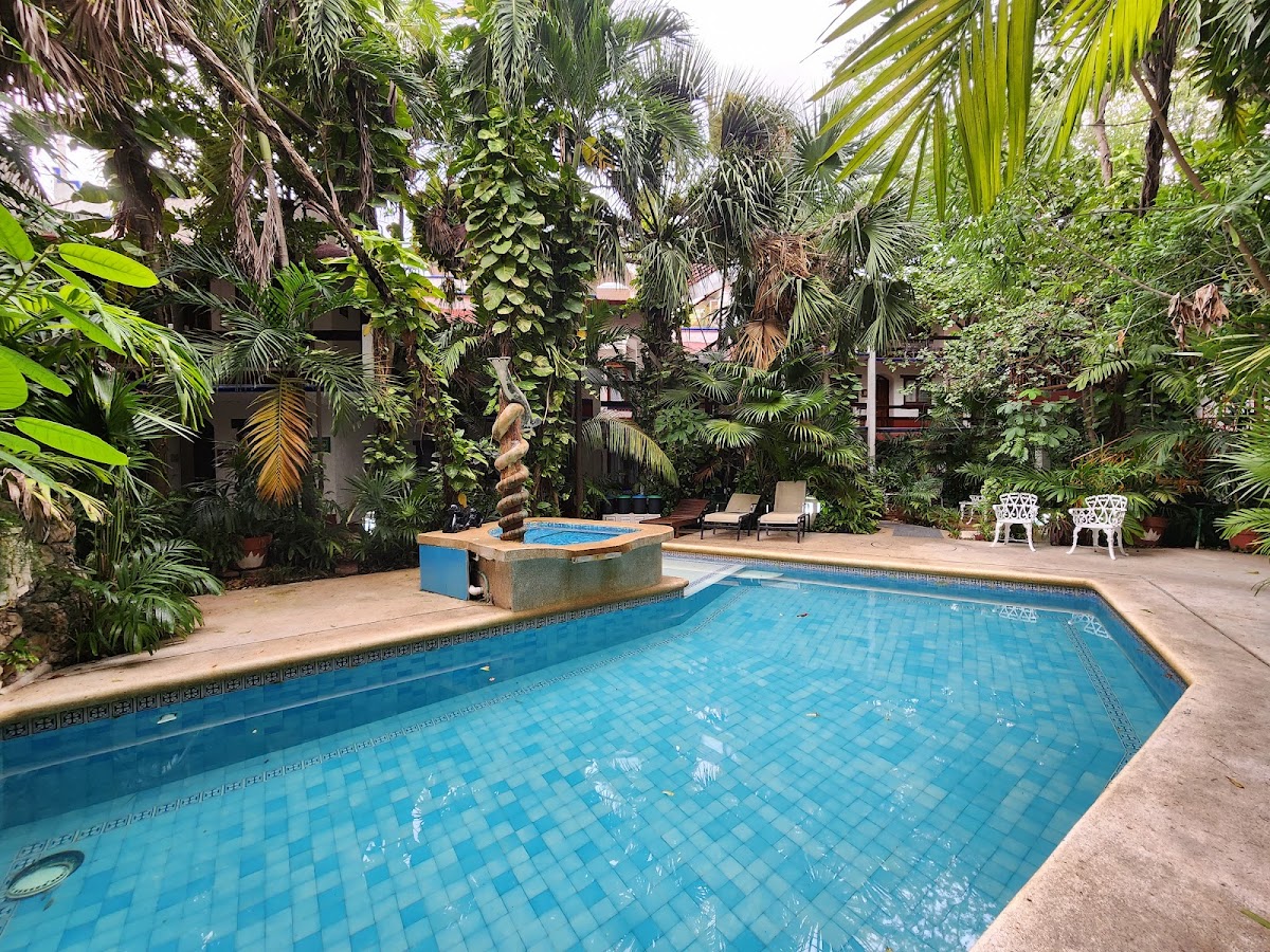 Eco Hotel El Rey Del Caribe photo 3