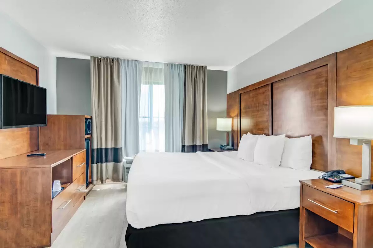 Comfort Suites near I-80 and I-94 photo 2