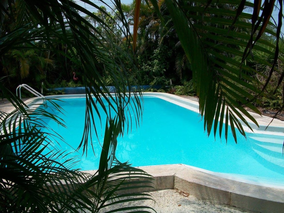 Villa da Costa photo 3