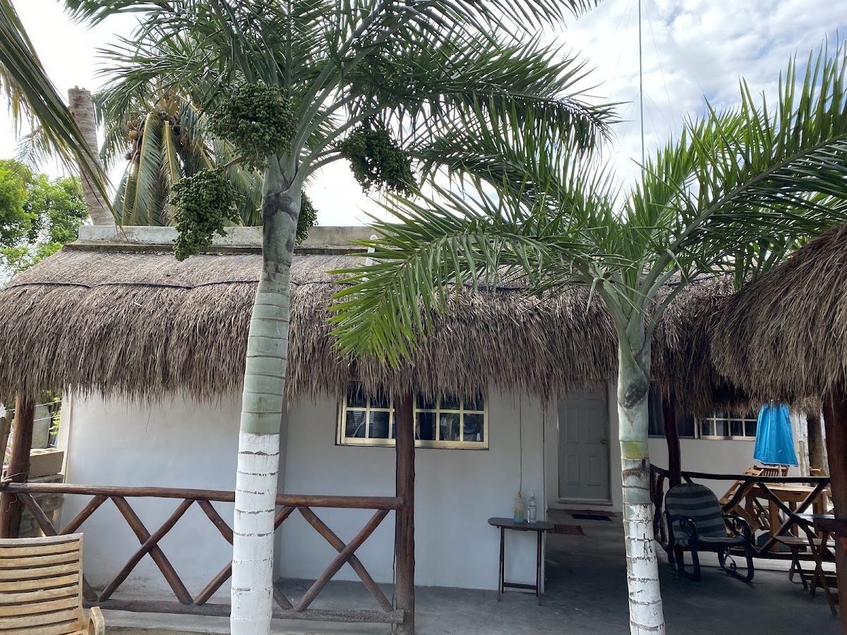 Villa Mirta photo 3