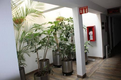 HOTEL DEL SUR photo 3