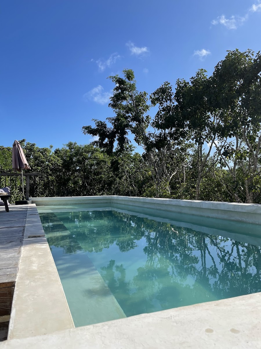 Ambre & Epices Jungle Hôtel & Spa photo 3