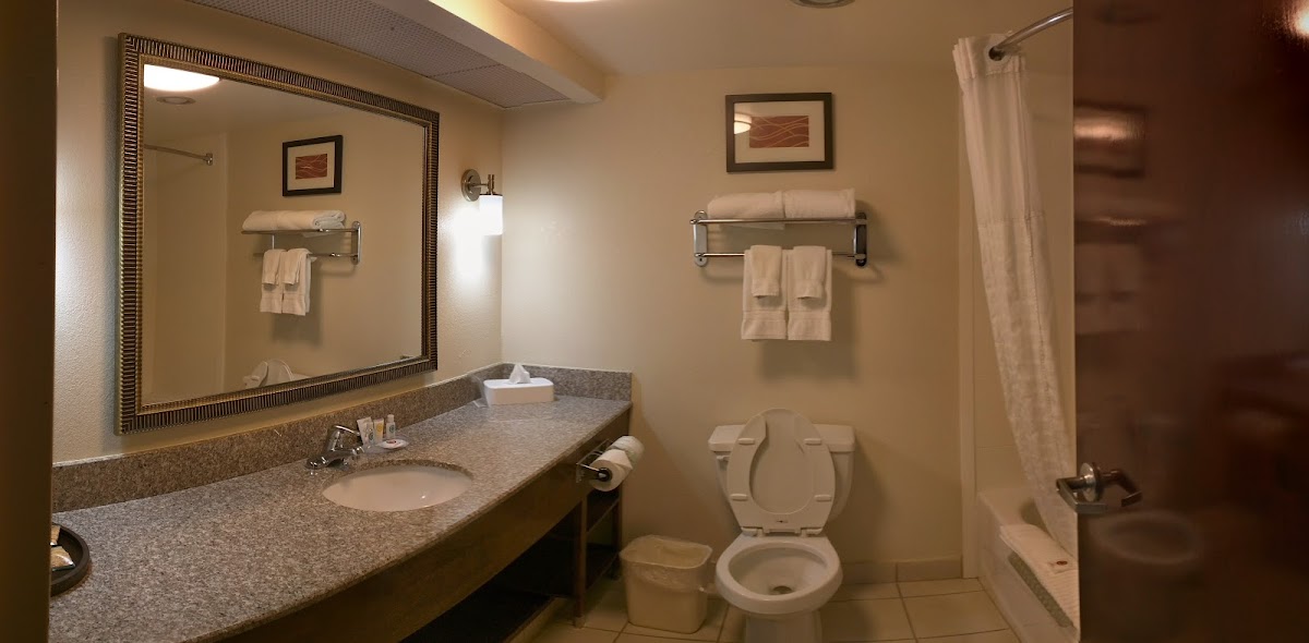 Comfort Inn & Suites Athens North photo 3
