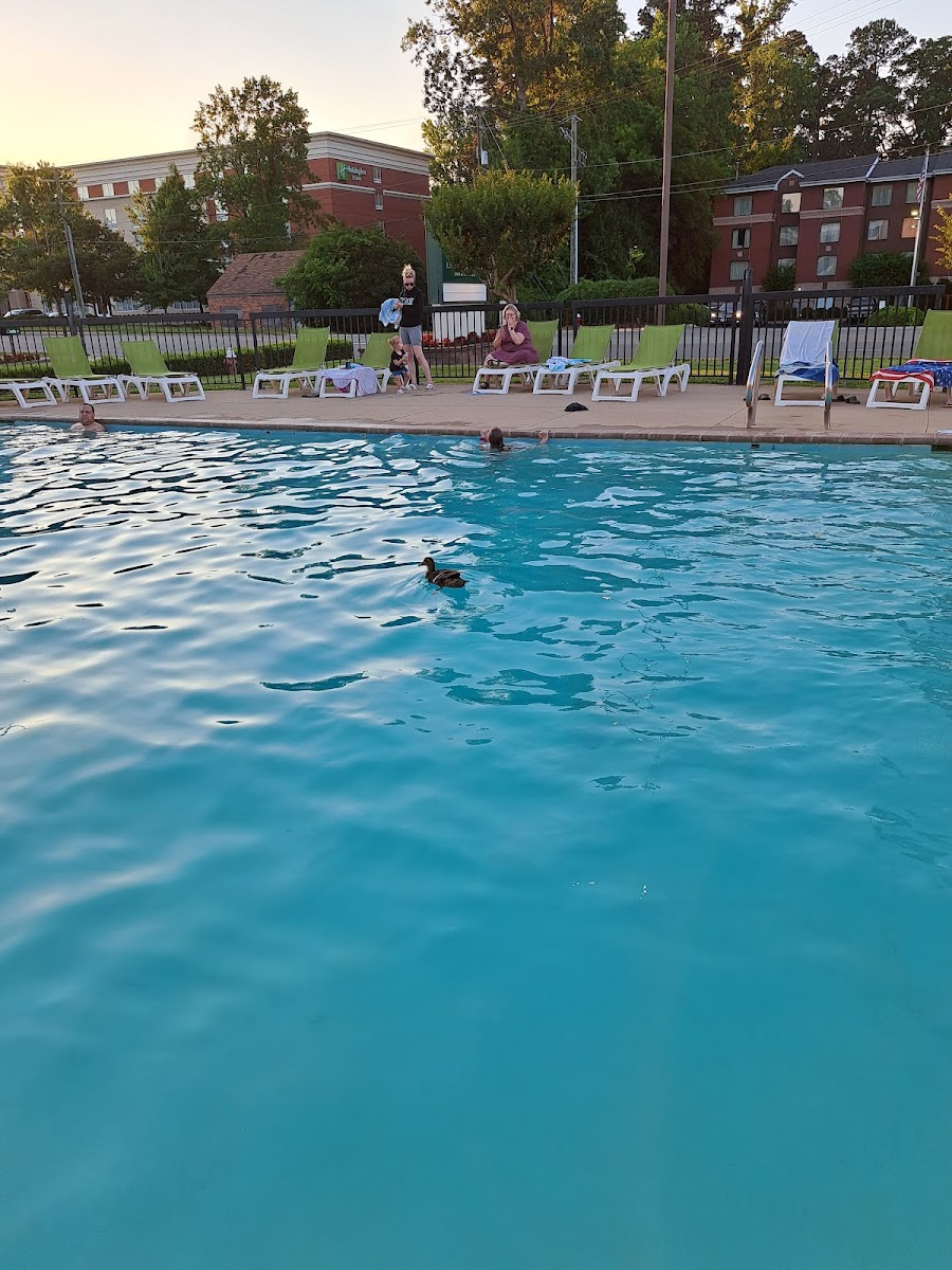 La Quinta Inn & Suites by Wyndham Williamsburg Historic Area photo 3