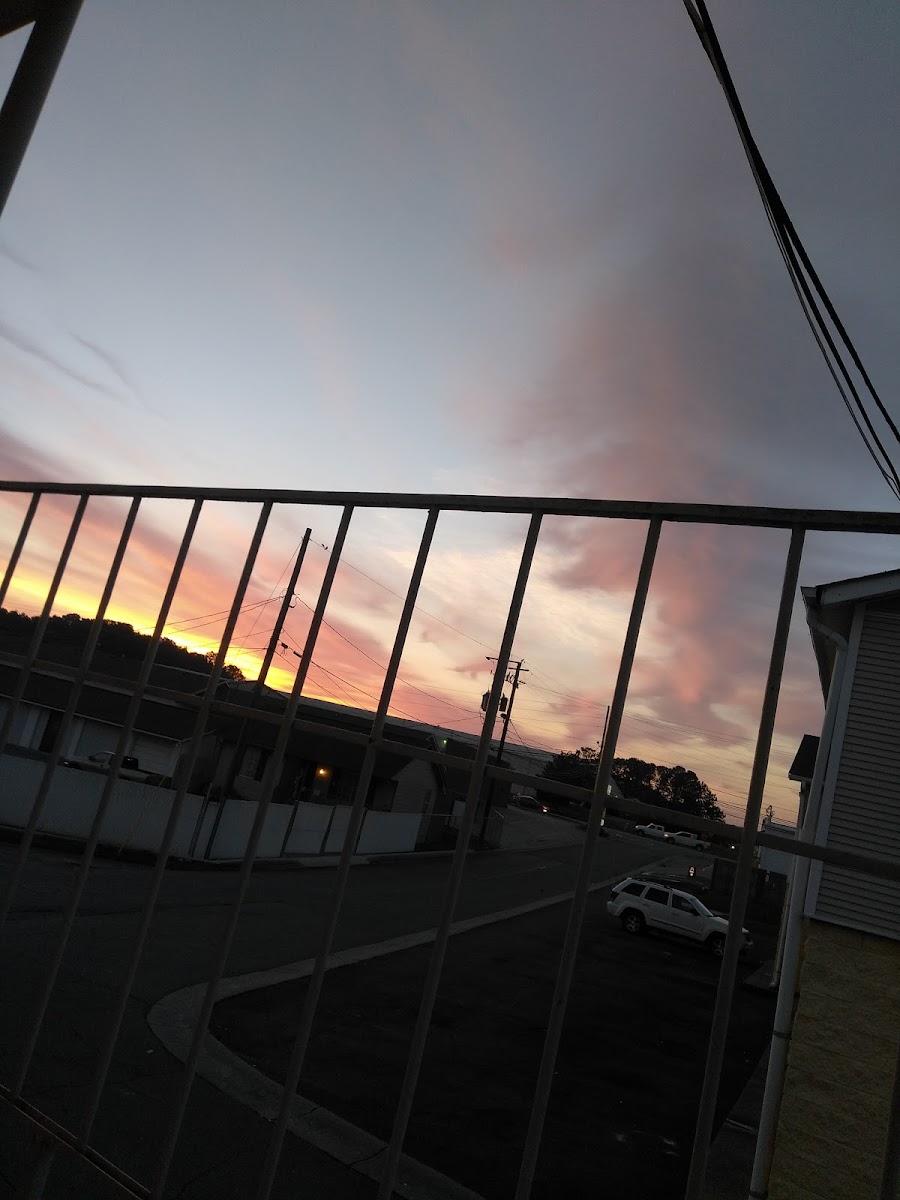 Grassdale Suites photo 3