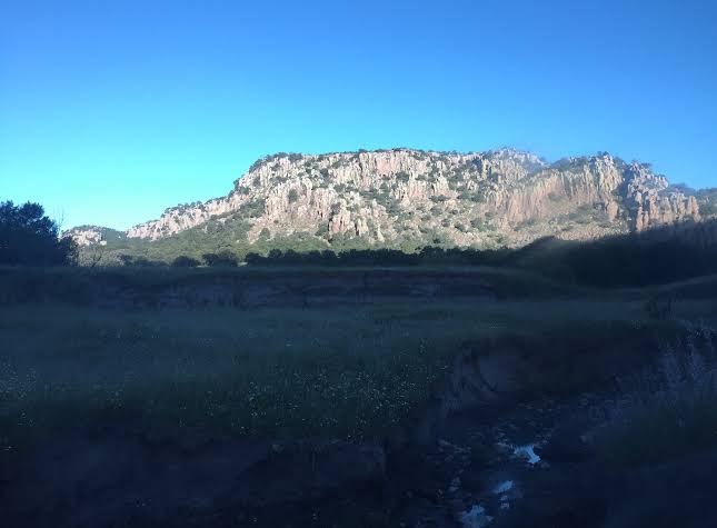 Hotel Nuevo Barrancas Del Cobre photo 2