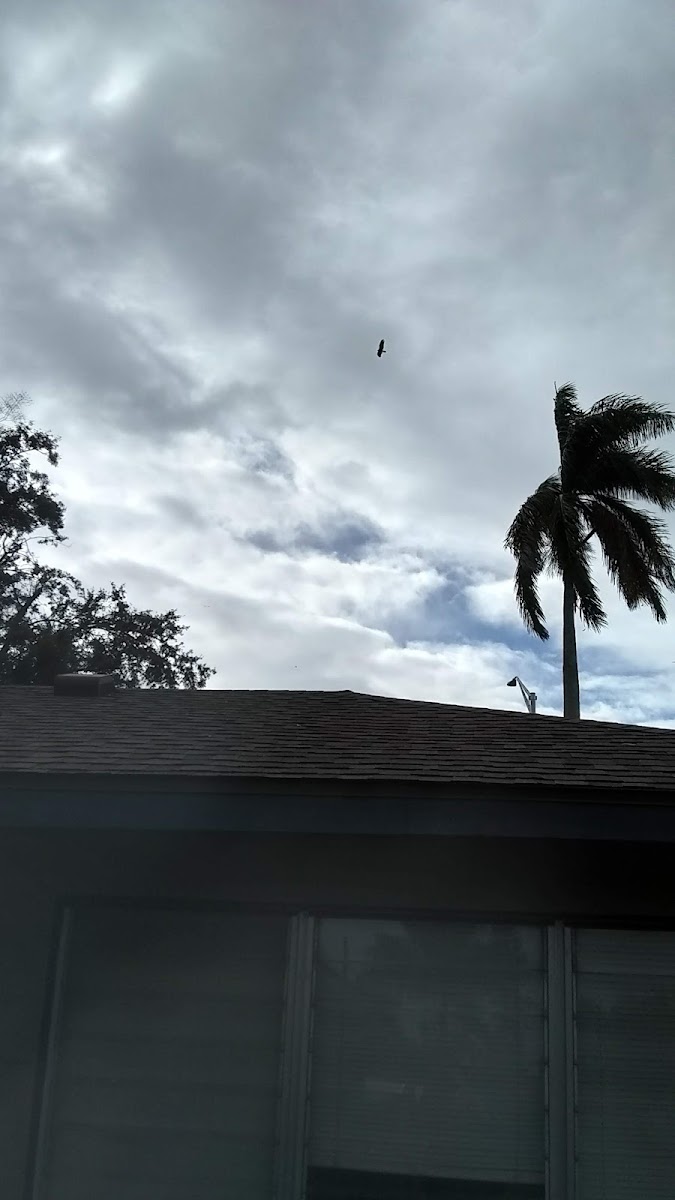 Blue Boy Motel