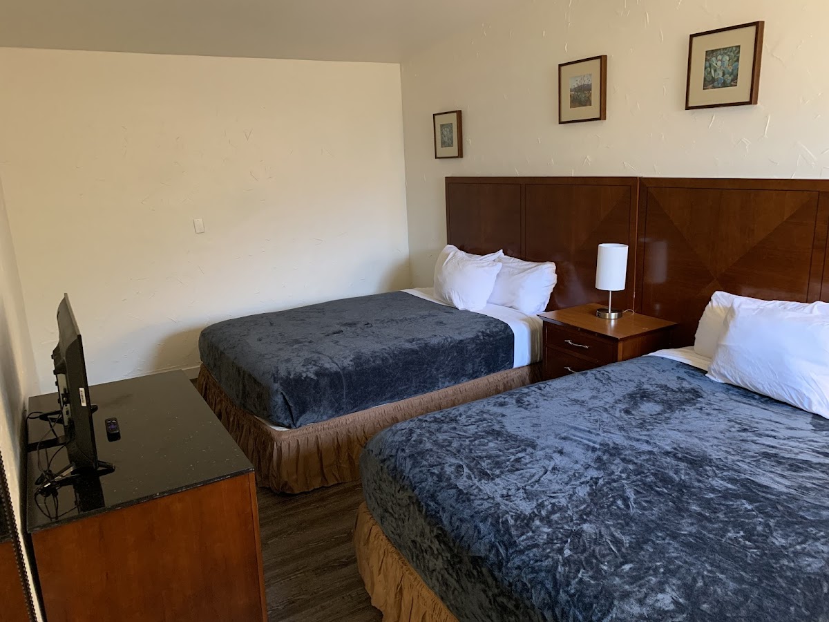 The Antler Motel photo 2