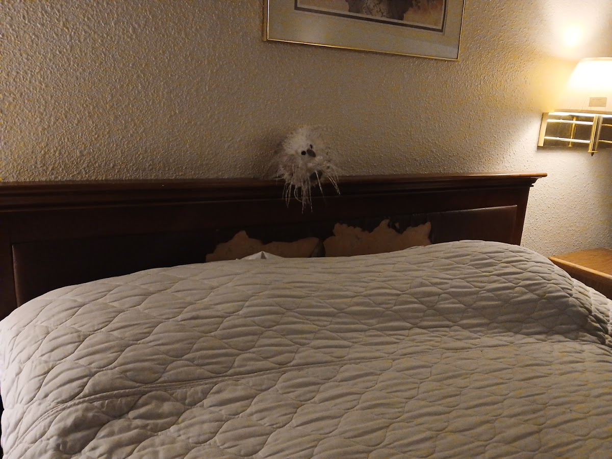 Denver West Inn photo 2